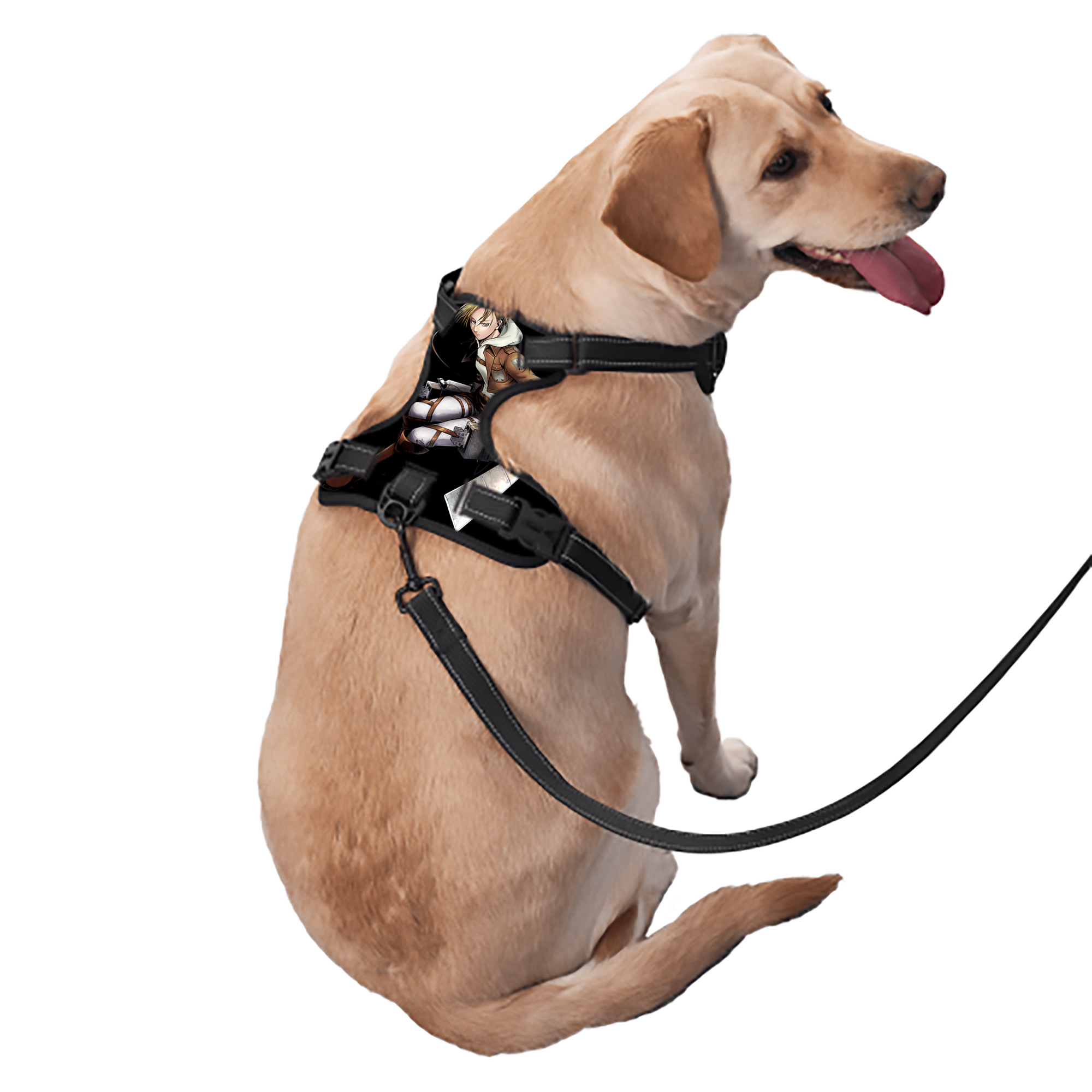 （画像用） 進撃の巨人 アニ・レオンハート Attack on Titan Annie Leonhart ペット用ハーネス
